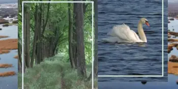 Краеведческая экспедиция Кричино-Холхолица