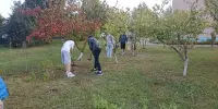 Участие в субботнике