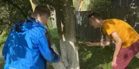 Учащиеся нашей школы навели порядок