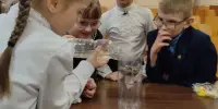 Территория детства. Календарь полезных дел